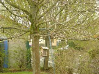 DSC05201.JPG